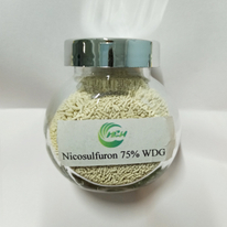 Nicosulfuron 75% WDG